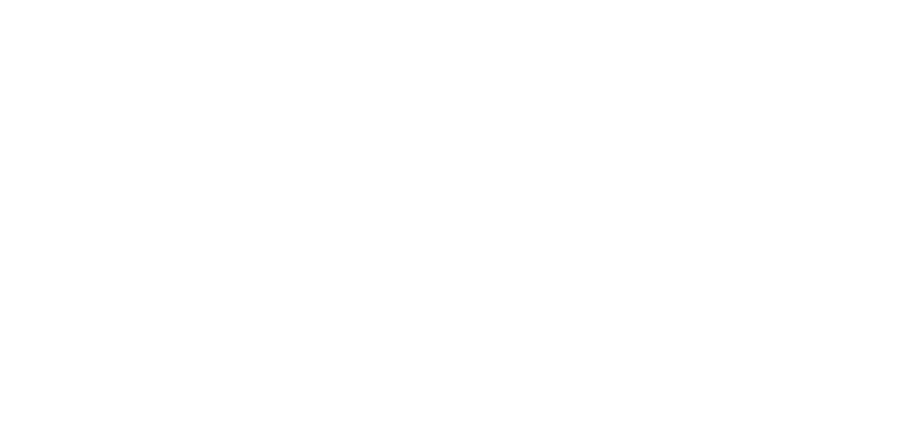 BlackBirdie Logo